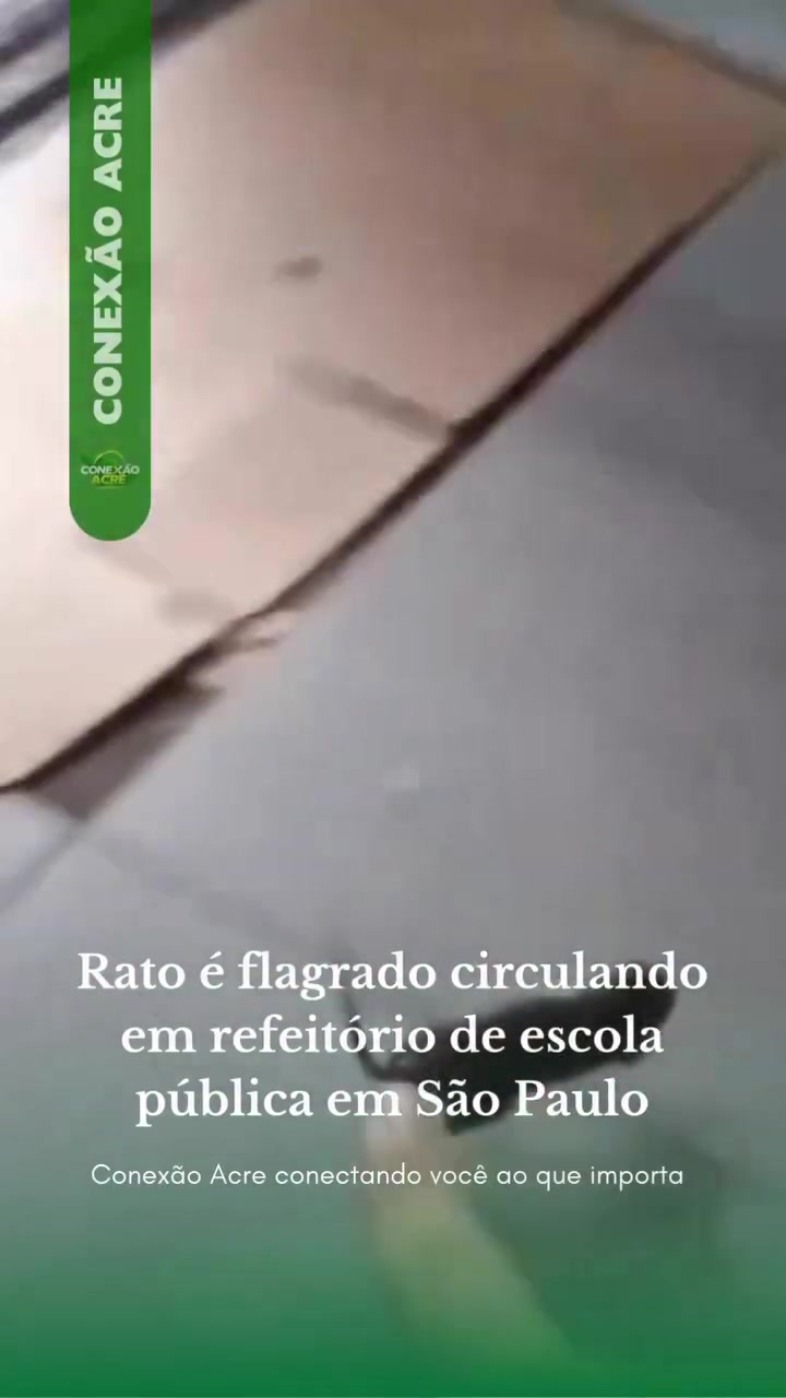Rato é flagrado circulando em refeitório de escola pública em São Paulo