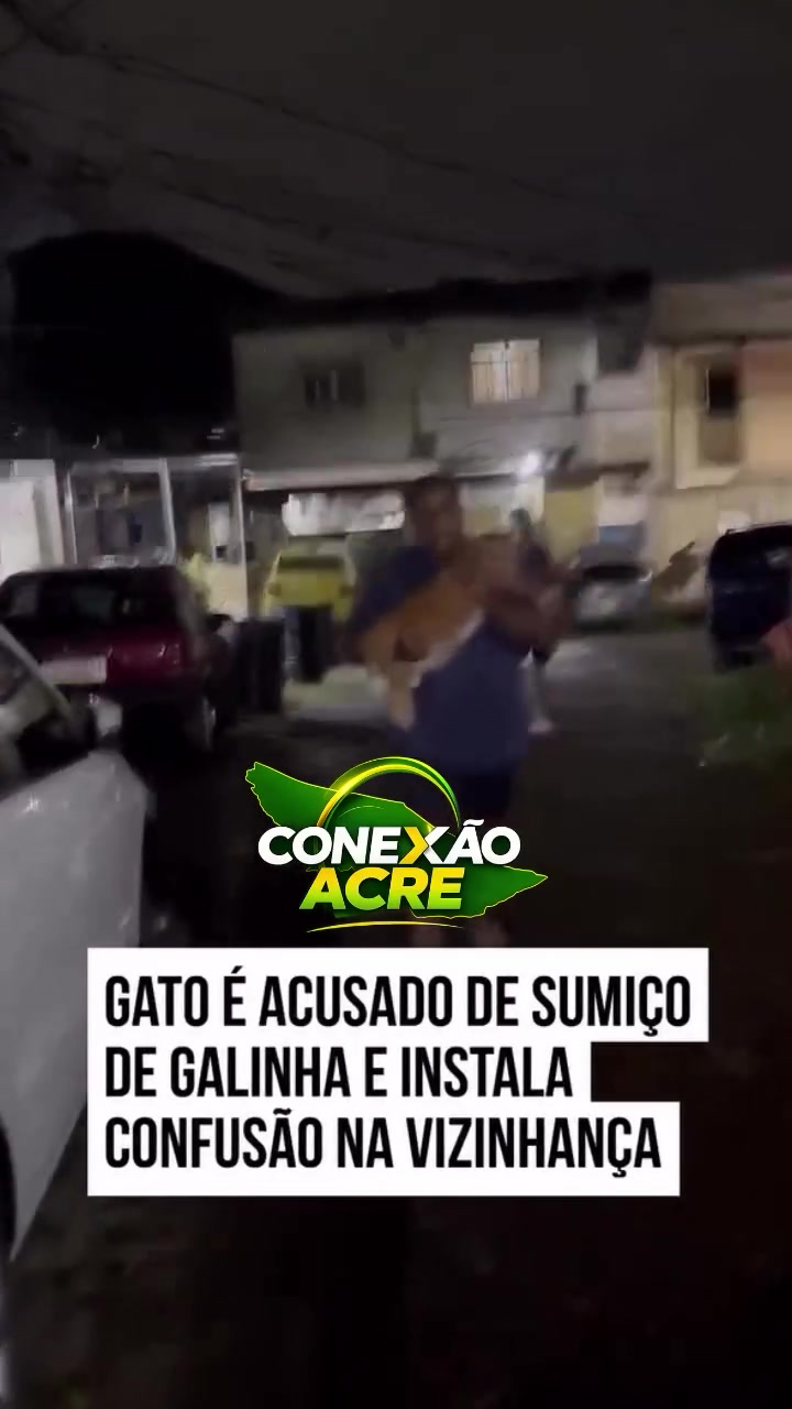 Gato é acusado de sumiço de galinha e instala confusão na vizinhança